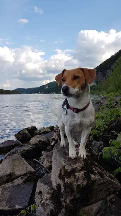 Dogorama-Monats-Challenge-Mai "Wasser"-Beitrag-Bild