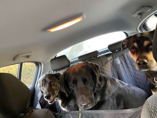 CHALLENGE NR. 18 - ON TOUR-Beitrag-Bild