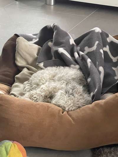 Ratespaß geht weiter-Beitrag-Bild