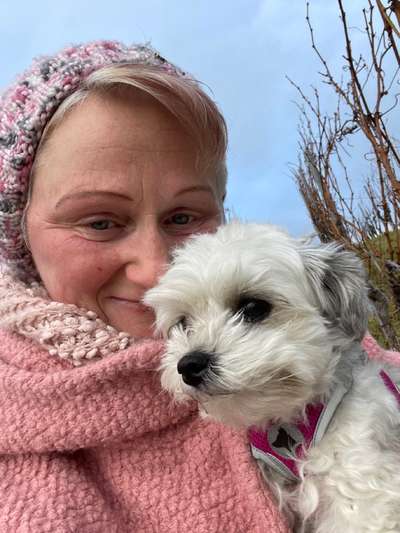 Hunderunde-Beitrag-Bild