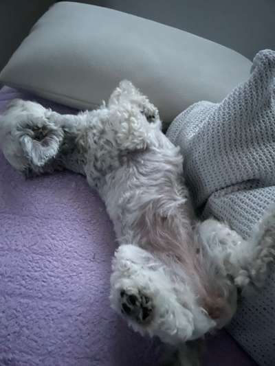 Die unbequemsten und lustigsten Schlafpositionen-Beitrag-Bild