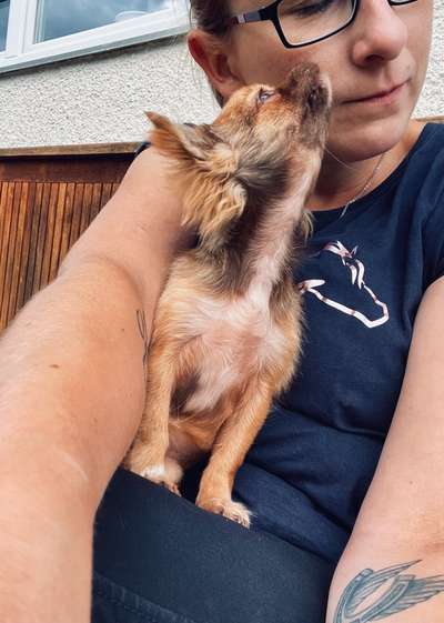 Dogorama Photo Challenge - Selfie Time!-Beitrag-Bild