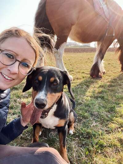 Dogorama Photo Challenge - Selfie Time!-Beitrag-Bild