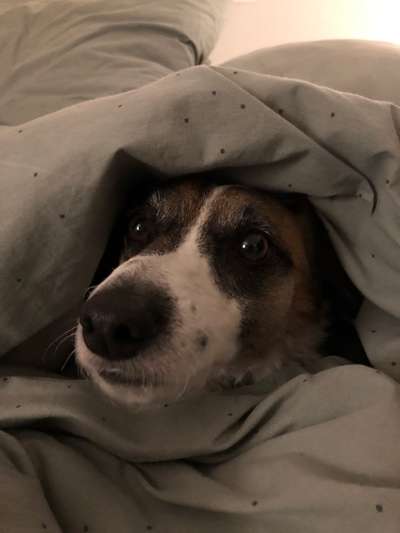 Challenge 21 - wo bin ich : )-Beitrag-Bild