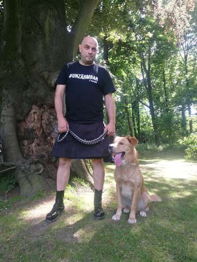 Mischlingshunde Foto Aufruf-Beitrag-Bild