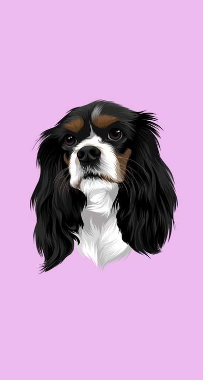 Cavaliere im Raum Böblingen/Stuttgart-Beitrag-Bild