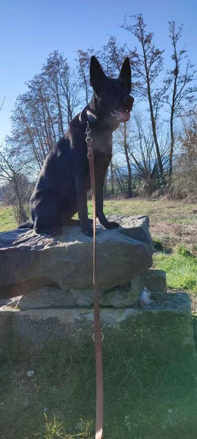 Theos  Fotochallenge Nummer 2-Beitrag-Bild