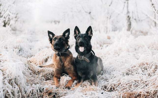 Fotochallenge Nr. 67: Euer Lieblingsbild-Beitrag-Bild