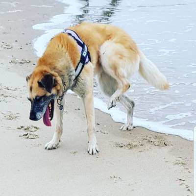 Eure Strandbilder :)-Beitrag-Bild