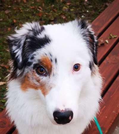 Fotochallange Nr. 57     PORTRÄT.   Beendet!!!!!!!!-Beitrag-Bild