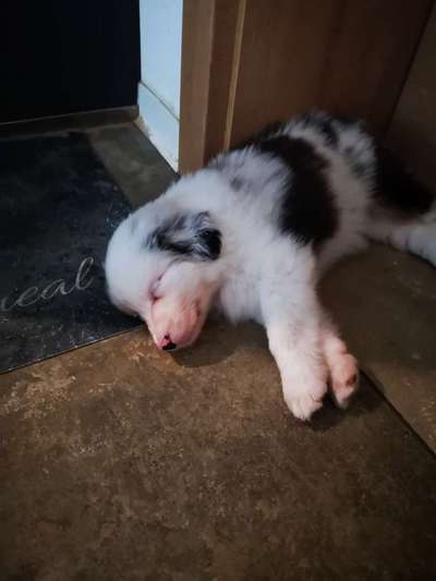 Erstes Bild-Beitrag-Bild