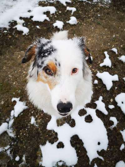 Handy-Foto Challange Nr. 10-Beitrag-Bild