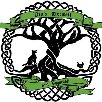Hundefriseure-Dia's Tierwelt-Bild