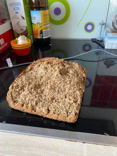 Zeig mir, dass du mit einem hund zusammenlebst....-Beitrag-Bild