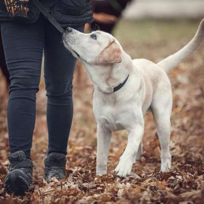 %{de_profession_title}-Einzeltraining-Bild