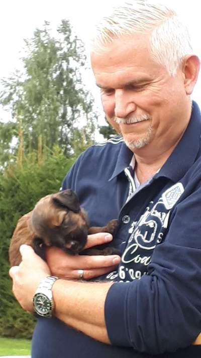 Welpen Bilder !-Beitrag-Bild