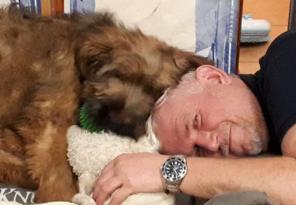 Welpen Bilder !-Beitrag-Bild