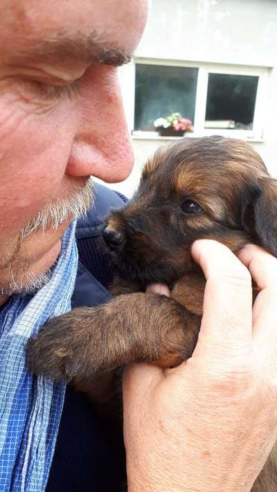 Welpen Bilder !-Beitrag-Bild