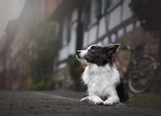 Austausch zur Fotografie-Beitrag-Bild