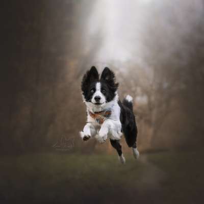 Austausch zur Fotografie-Beitrag-Bild