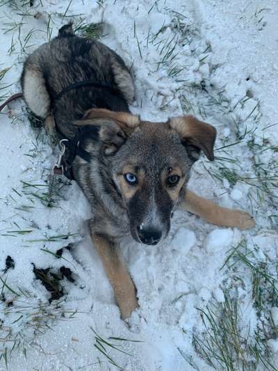 Lieblingsbild-Beitrag-Bild