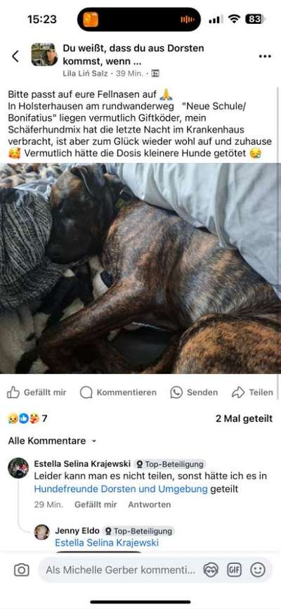 Giftköder-Vermutlich Giftköder-Bild