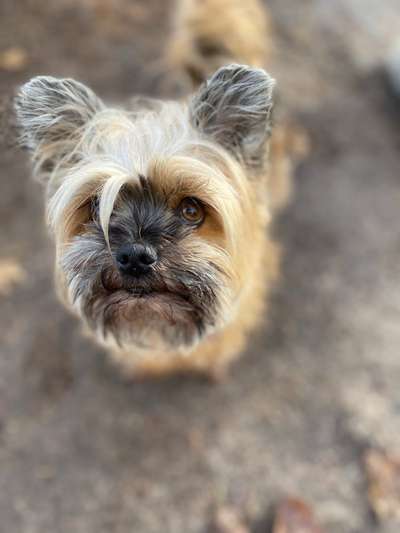 Fotochallange Nr. 57     PORTRÄT.   Beendet!!!!!!!!-Beitrag-Bild