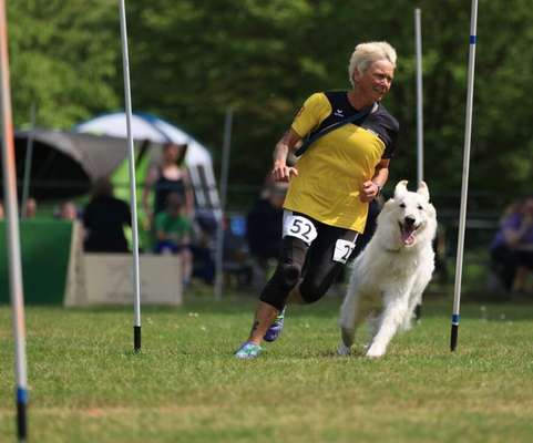 Hundesport?-Beitrag-Bild