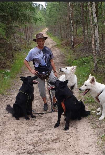 Dogorama Photo Challenge - Gegensätze-Beitrag-Bild