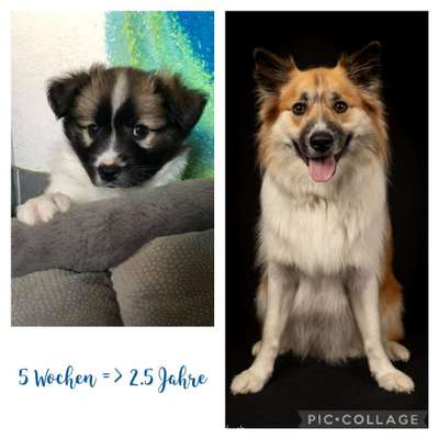 Lieblingsbild-Beitrag-Bild