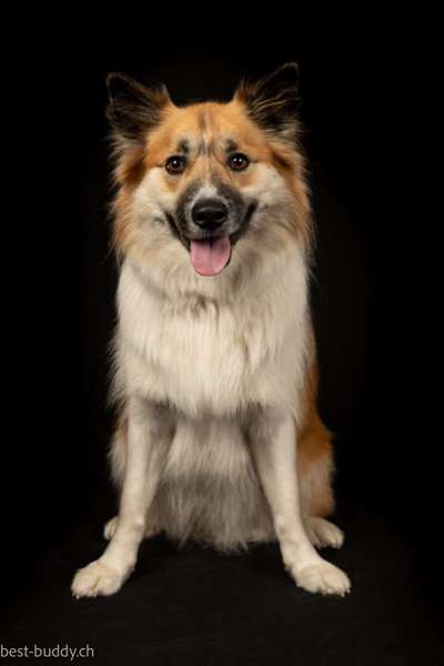 Fotochallange Nr. 57     PORTRÄT.   Beendet!!!!!!!!-Beitrag-Bild