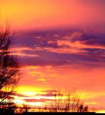 Wie heißt dein Hund?-Beitrag-Bild