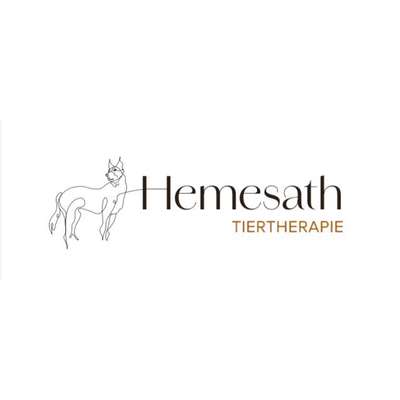 Hundetreffen-Tierphysiotherapie und Osteopathie-Bild