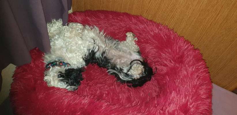 Die unbequemsten und lustigsten Schlafpositionen-Beitrag-Bild