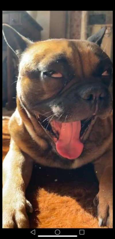 Un...scharf Bilder-Beitrag-Bild