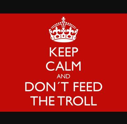 Darf man Welpen in einer Tierhandlung verkaufen/kaufen?-Beitrag-Bild