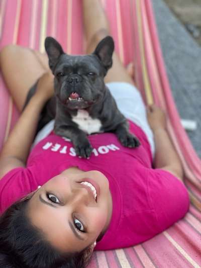 Französische Bulldoggen-Beitrag-Bild