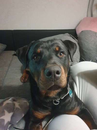 Fotochallange Nr. 57     PORTRÄT.   Beendet!!!!!!!!-Beitrag-Bild