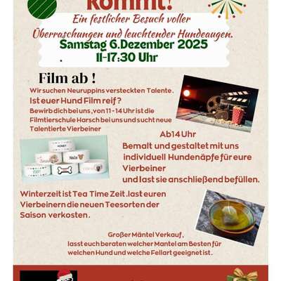 Hundetreffen-Der Nikolaus füllt Näpfe-Bild