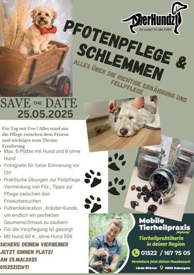 Hundetreffen-Seminar-Bild