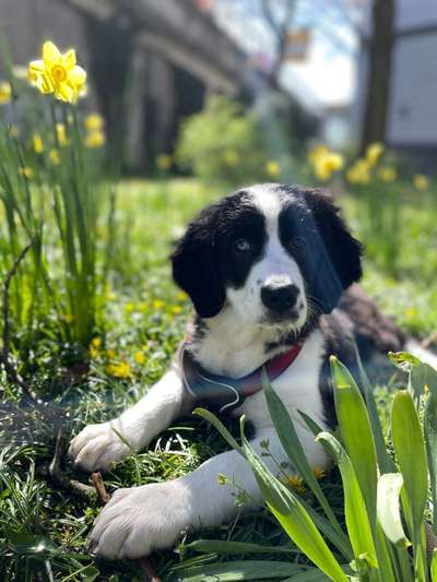 Handy-Foto-Challange Nr.9-Beitrag-Bild