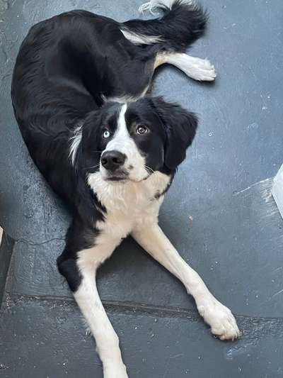 Doppelgänger gesucht !-Beitrag-Bild