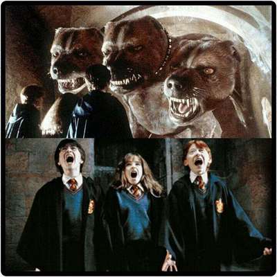 Wie kam es zum Namen eurer Hunde? :)-Beitrag-Bild