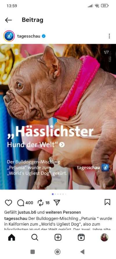 Was hat euch heute genervt?-Beitrag-Bild