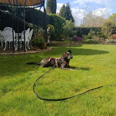 Was hat euch heute gefreut?-Beitrag-Bild