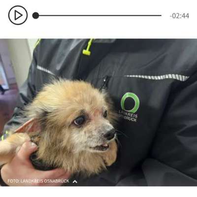 Was hat euch heute genervt?-Beitrag-Bild