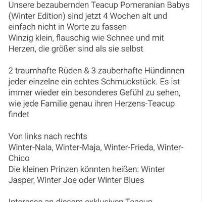 Qualzucht - Warum Aufklärung alleine nicht reicht-Beitrag-Bild