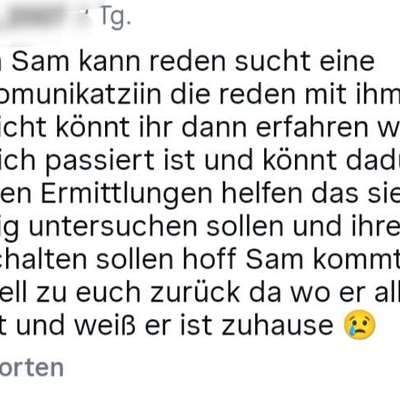Der Fall "Sam" - Angriff oder missglückter Rettungsversuch?-Beitrag-Bild