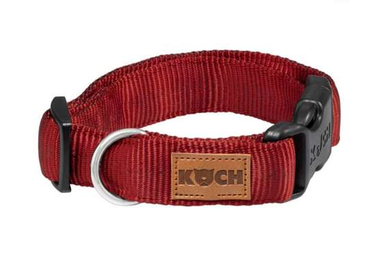 Welches Halsband trägt dein Hund und warum dieses?-Beitrag-Bild