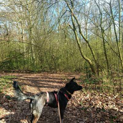 Was hat euch heute gefreut?-Beitrag-Bild